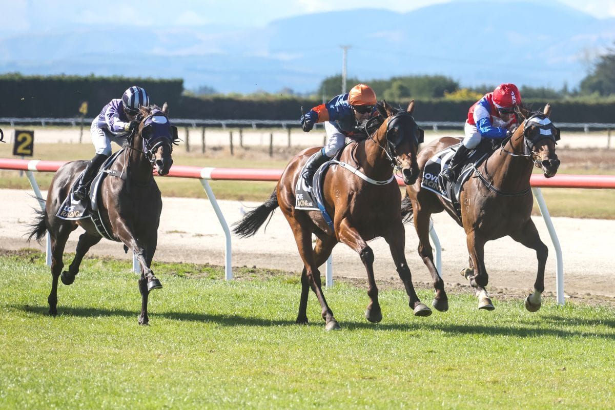 Shaking Stevens wins home cup