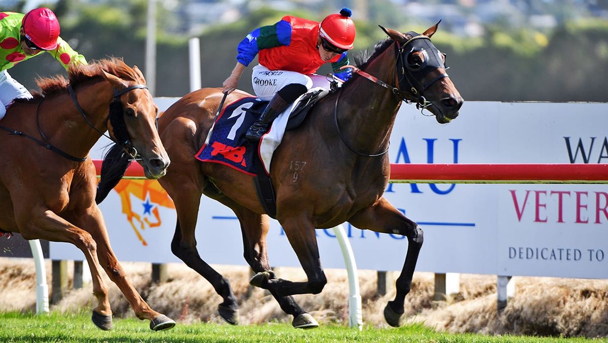 Sharp ‘N’ Smart takes Waikato Cup in thrilling finish