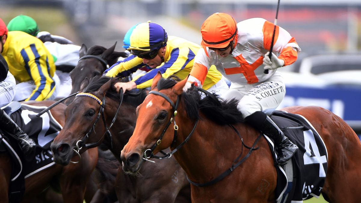 Wexford filly excites on debut