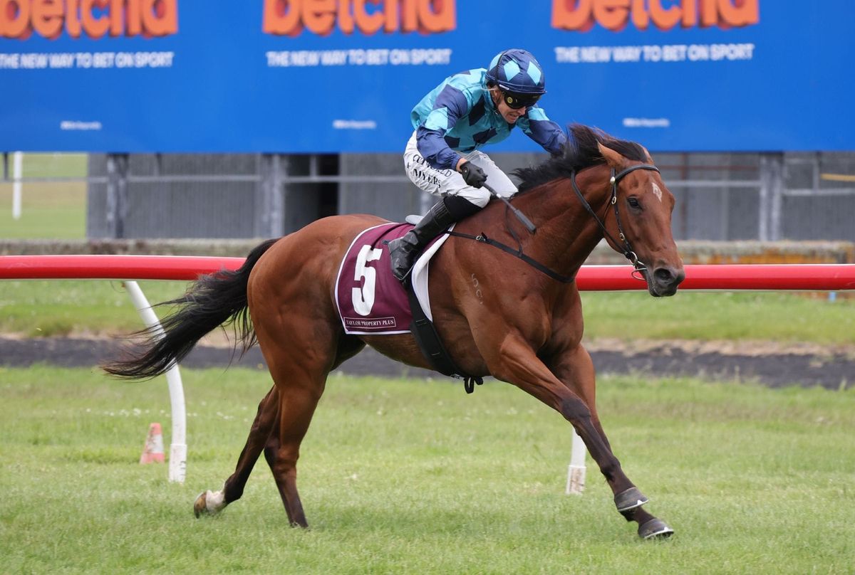 Northern test for Central Districts raider