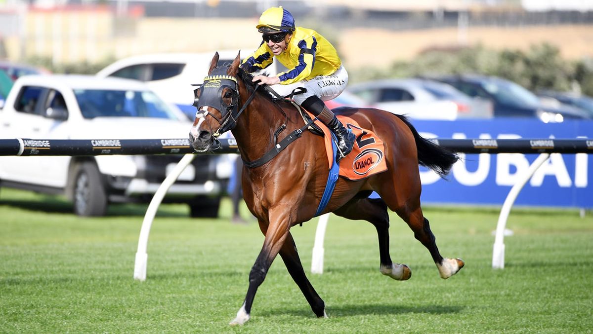 Waitak ticks all boxes ahead of Mufhasa Classic