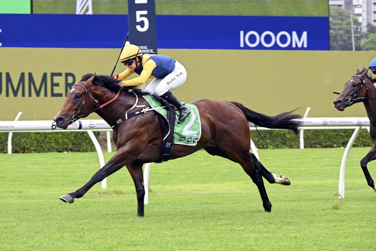 Sword Of State boosts festive spirits