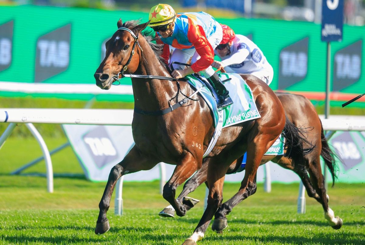Ka Ying Rising crowned Horse of the Year at Timeform Awards