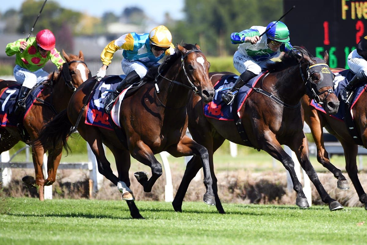 Further Ellerslie targets await Bulgari