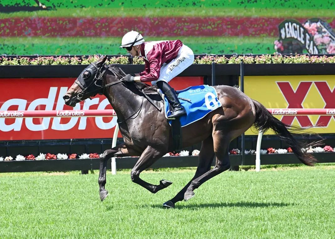 Birchley back in town for more Millions glory