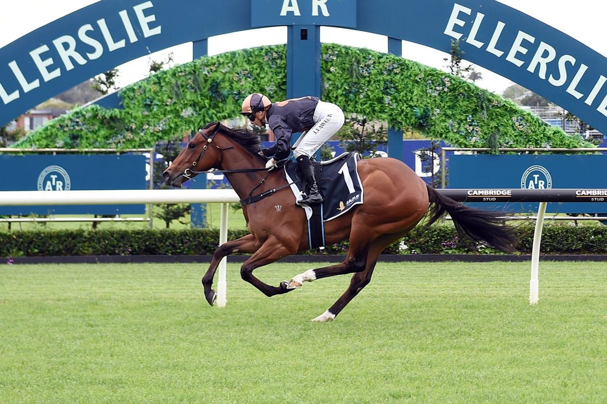Harvey to head juvenile second wave