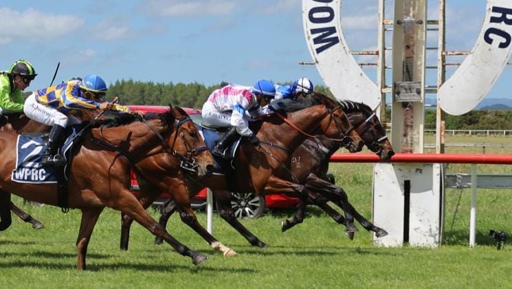 Nickalls chasing Oaks dream with promising filly
