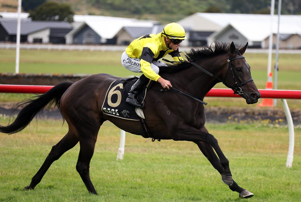 Cameron scores fourth Phar Lap Trophy