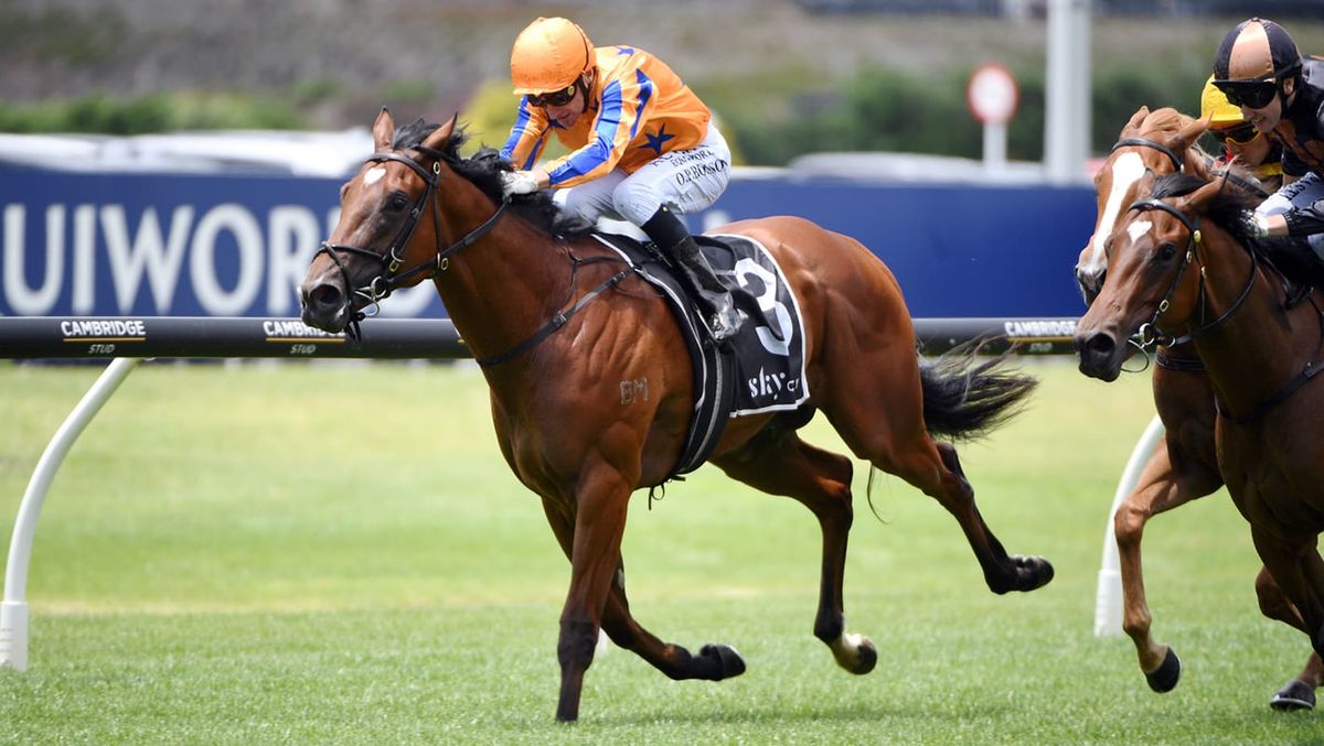 Te Akau seeking to extend Karaka Millions legacy