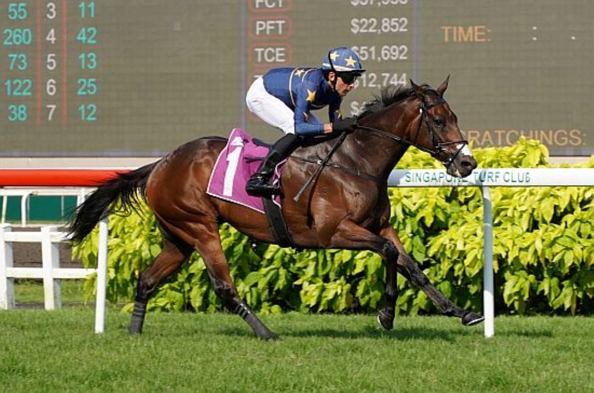 Lim’s Kosciuszko looking for first Australian victory