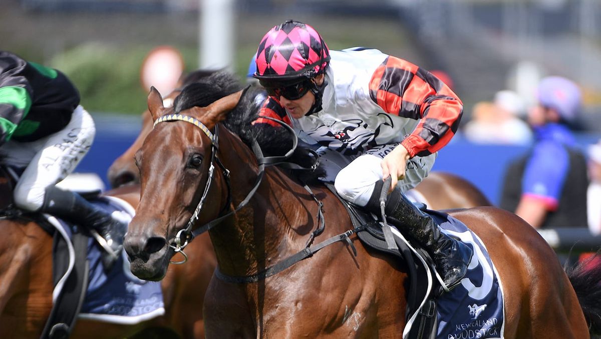Yulong invests in another exciting Kiwi filly