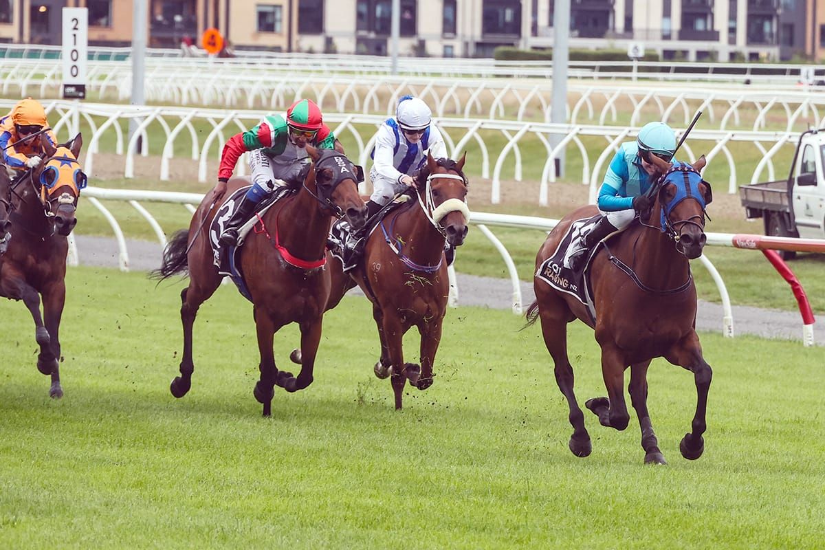 Northern mare takes Timaru Stakes