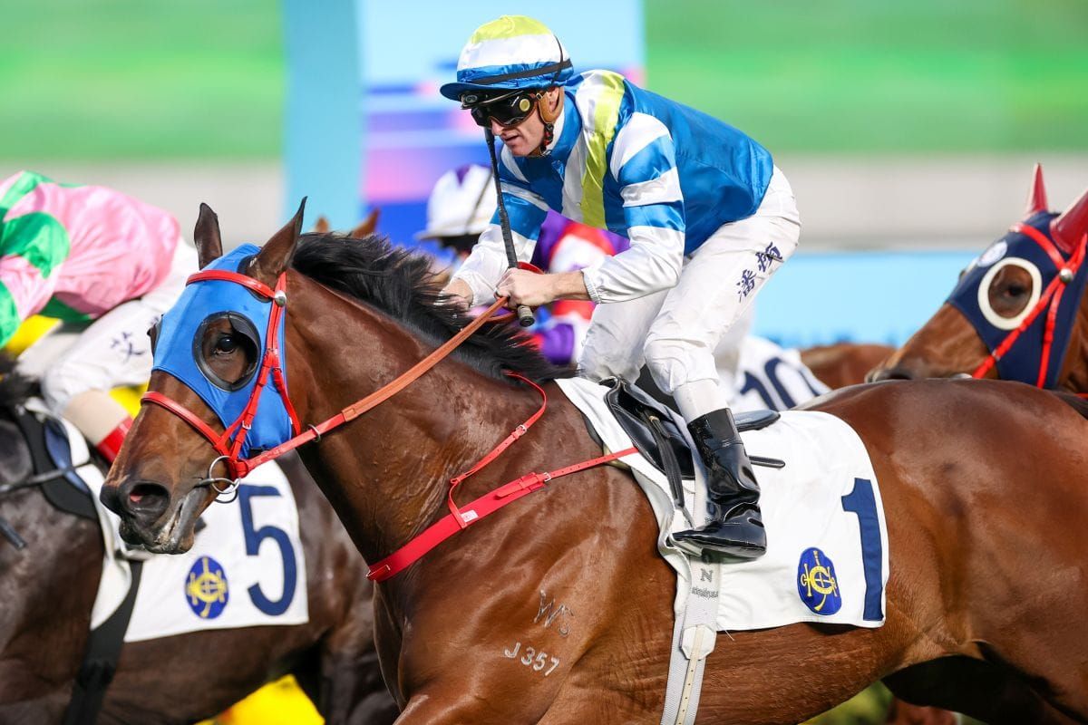 Patch Of Cosmo leads charge toward Four-Year-Old Classic Series