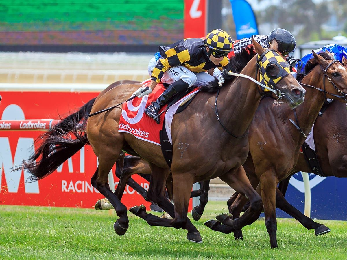 Leonchroi strikes at Geelong
