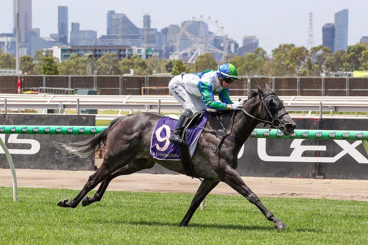 Sun Gift goes back-to-back