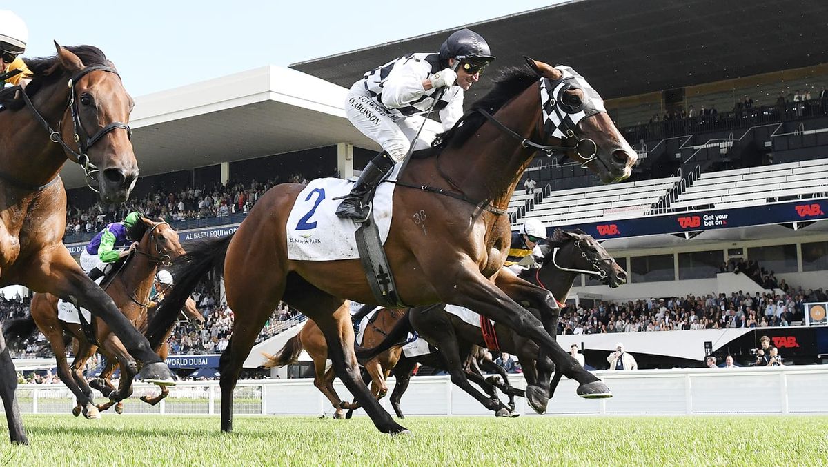 Tuxedo proves best dressed in Aotearoa Classic