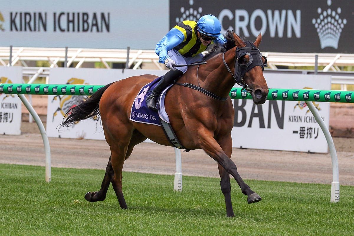 Tarvue faces staying test at Flemington