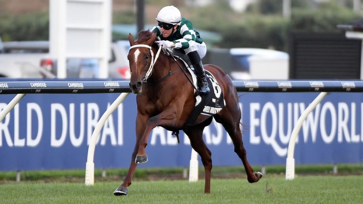 Well Written dominates Karaka Millions 3YO