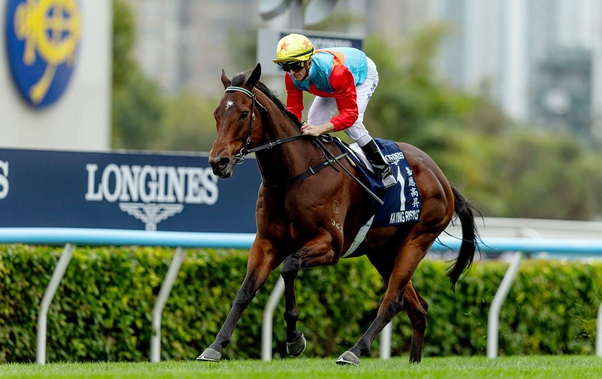 David Hayes supremely confident with Ka Ying Rising ahead of G1 Centenary Sprint Cup