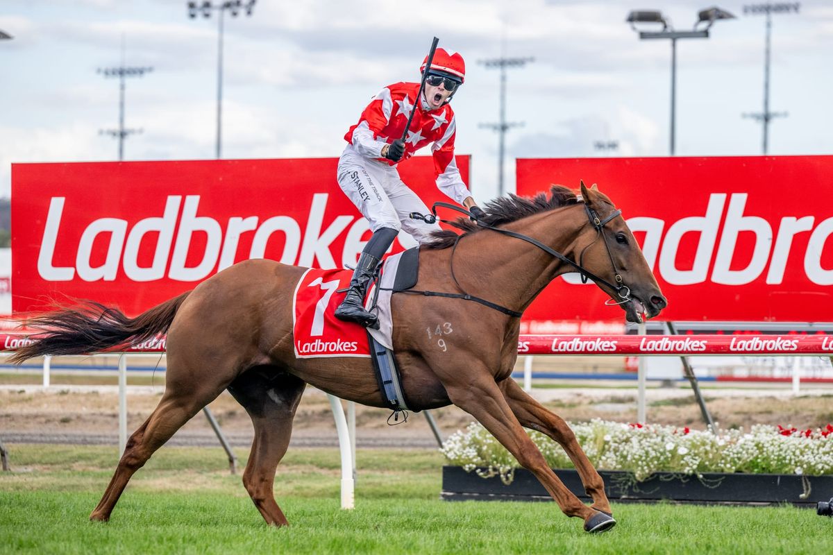 Asva wins locally dominated Launceston Cup