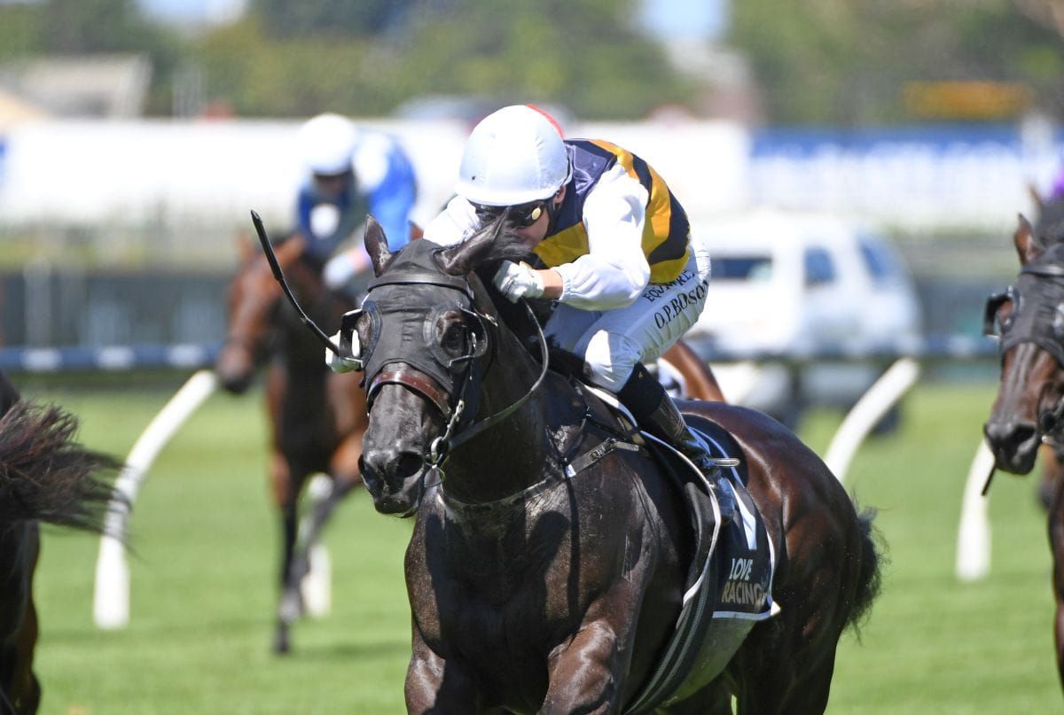 Alexanders hoping for dream start with exciting juvenile