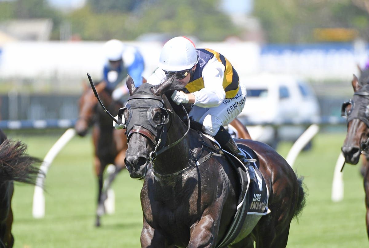 Quality 3YO gets chance to fulfil his distance destiny