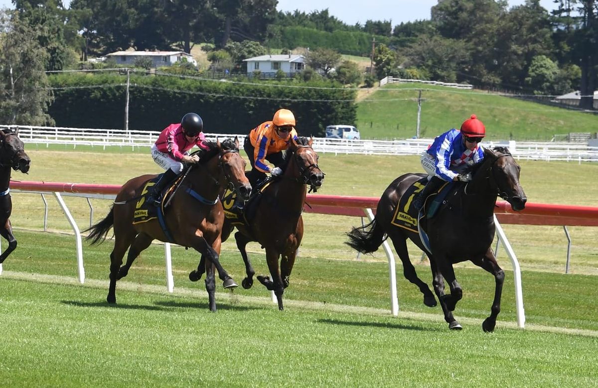 Alabama Lass on track to defend King’s Plate crown