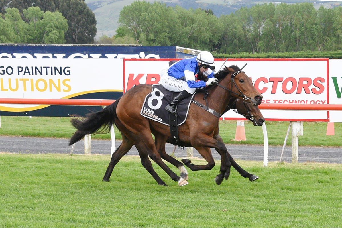 Bobby Mcgee hunting further stakes success