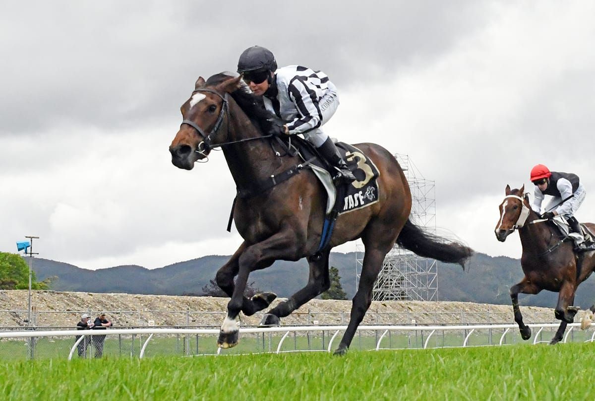 Latta hoping to continue winning momentum