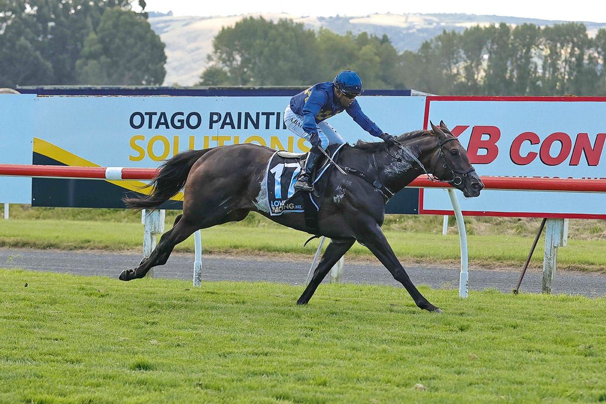 Cluedo Lane runs them ragged in Dunedin feature