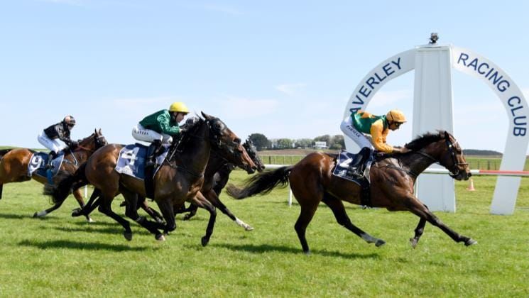 Thurlow set for first Matamata sortie