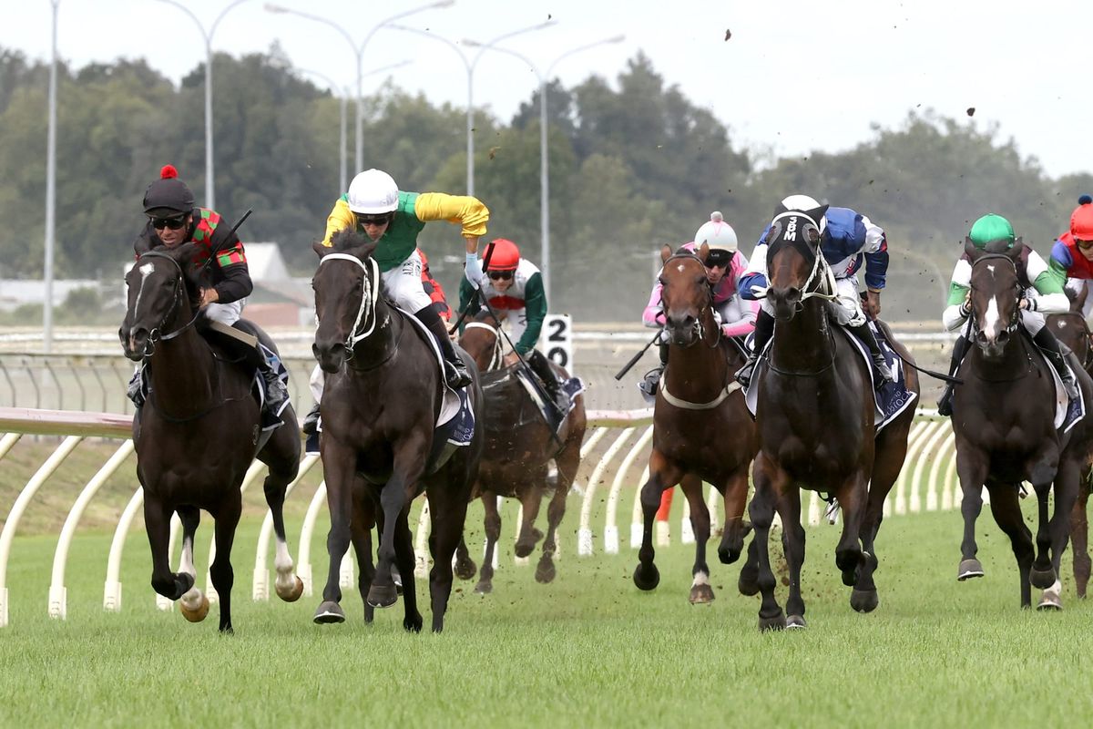 Marsh unveils impressive 3YO