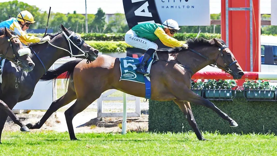 Forsman buoyed by Te Rapa sortie