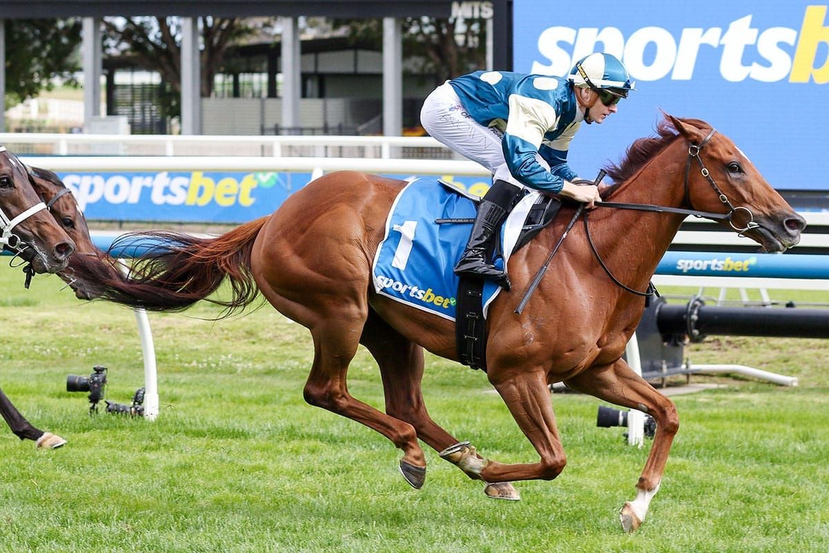 Seasoned Jimmysstar has Brown in raptures