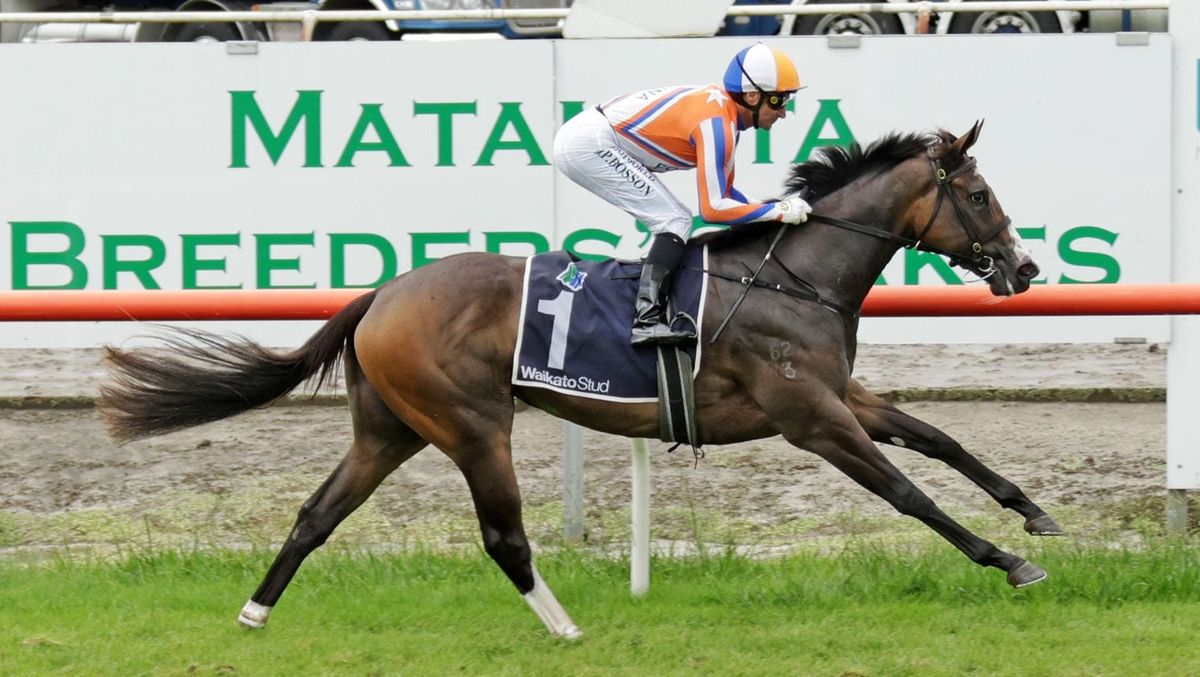 Dee back with quality Champions Day book