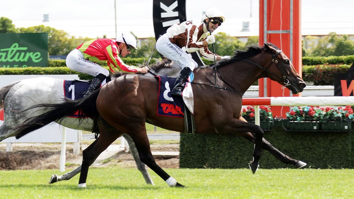One more race for Legarto before going to auction