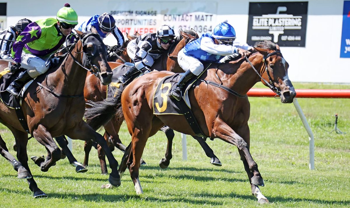 Nigella Lane gets Wairarapa Thoroughbred Breeders’ Stakes revenge