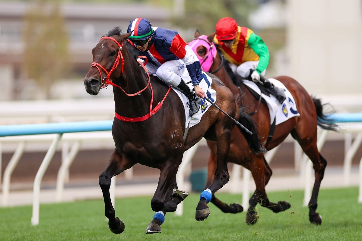 Numbers emerges for 4yo Series after Centenary Vase romp