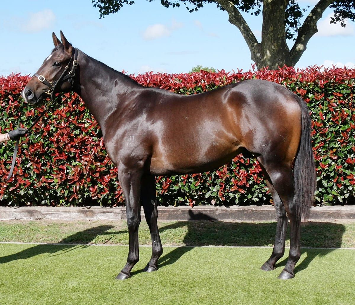 Power Beau Springs Surprise in City Of Marion Stakes