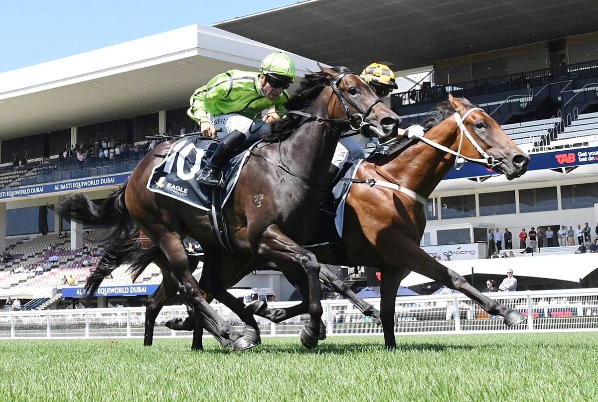 Filly continues hot summer for Highden