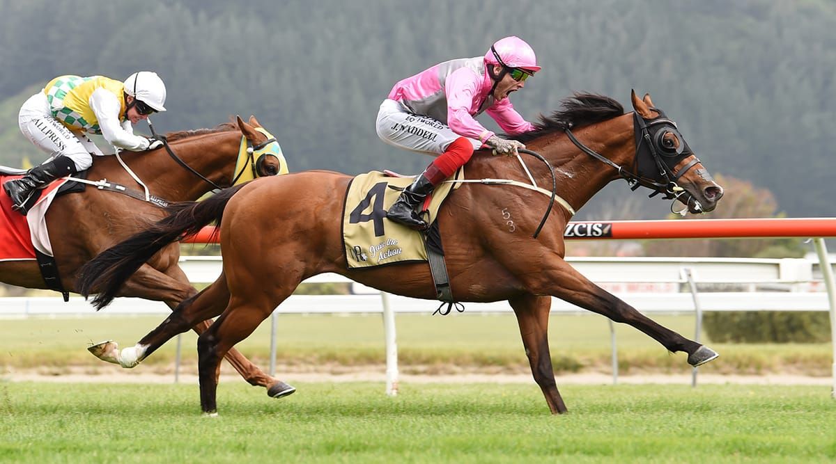 Tragic Loss of Group One Winner Wyndspelle