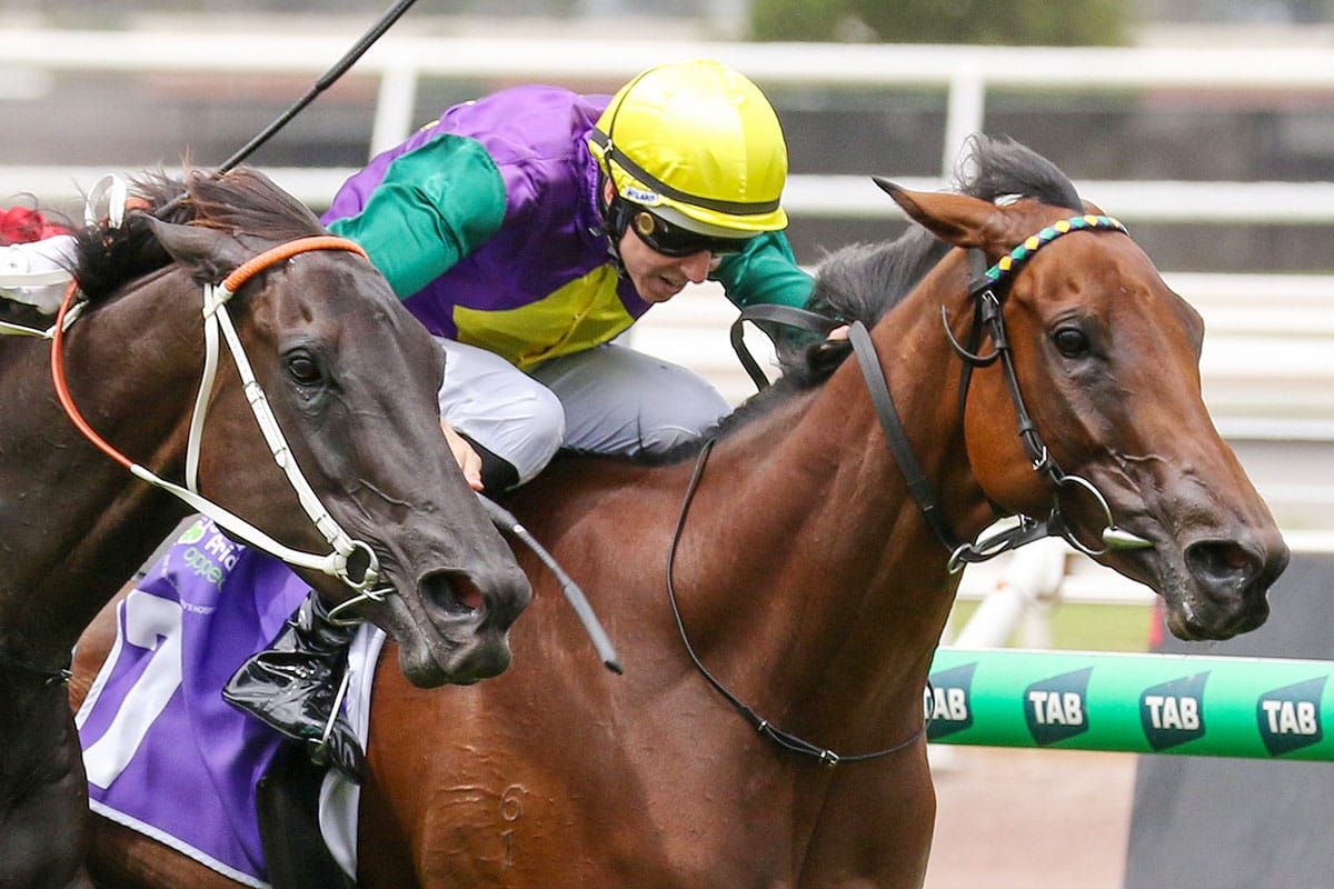 Well-related mare salutes at Flemington