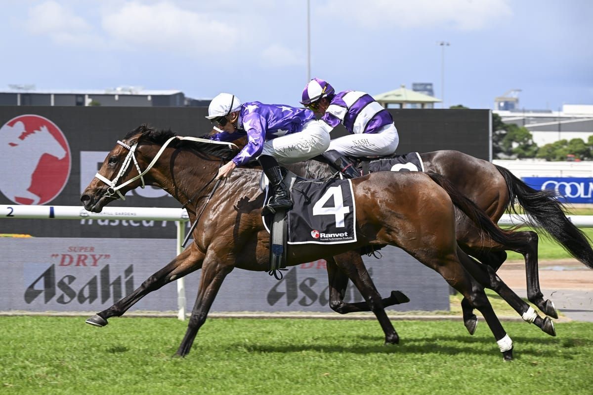 Aeliana odds on to snare back to back G1s