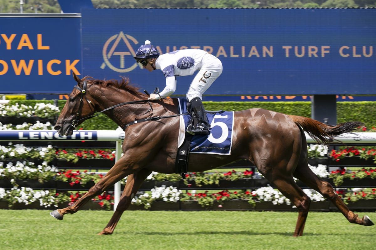 Campaldino stakes Sydney Cup claim in Randwick City Stakes