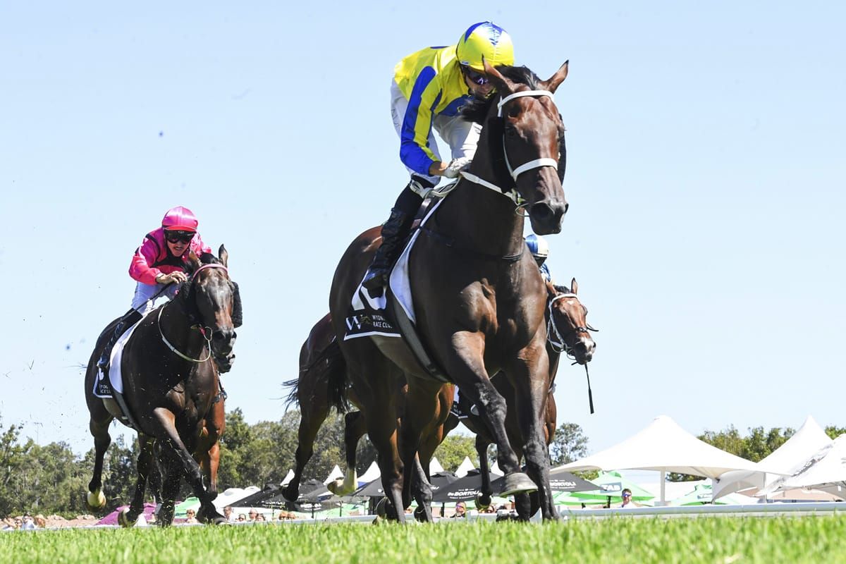 Downey seeking home glory at Ellerslie