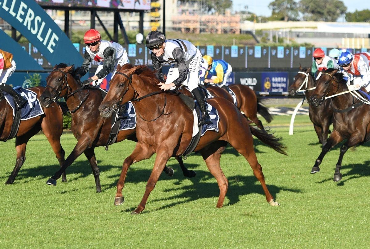 Stakes assignments looming for Elle Sourit