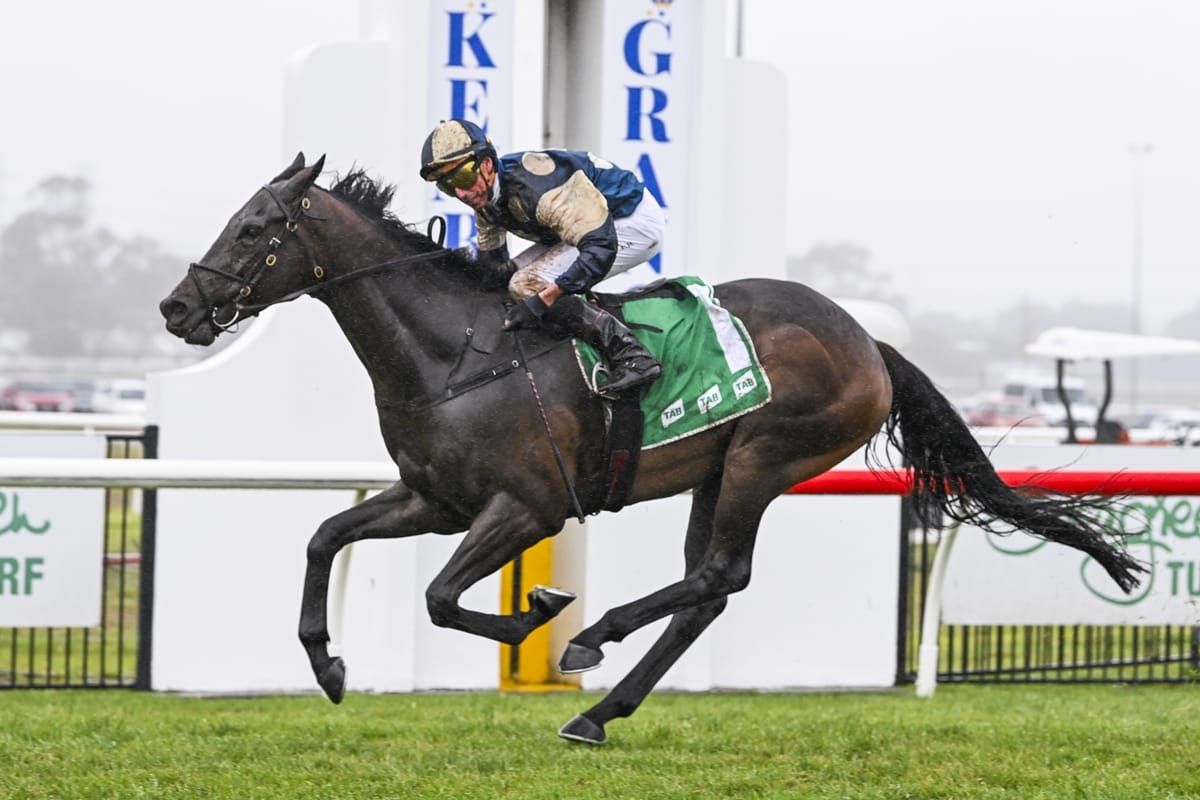 Jockey jump highlights Lady’s G1 chances