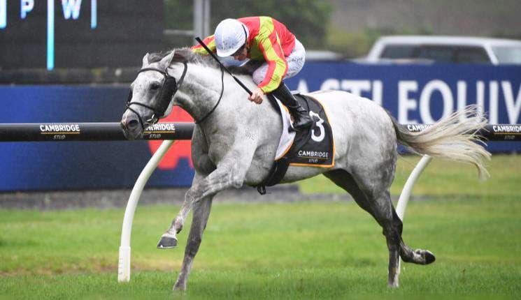 Kingswood seeking to end NZ campaign on a high