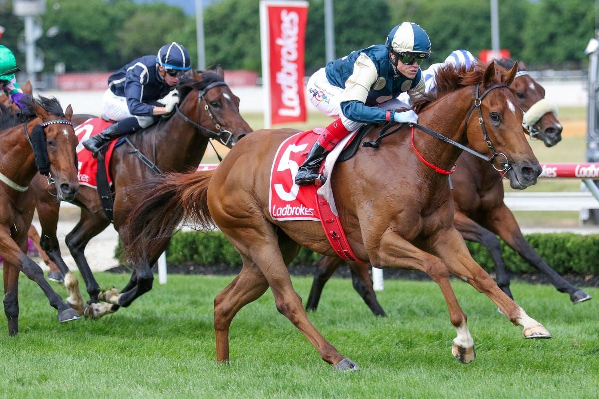 Jimmysstar no certainty for TJ Smith run