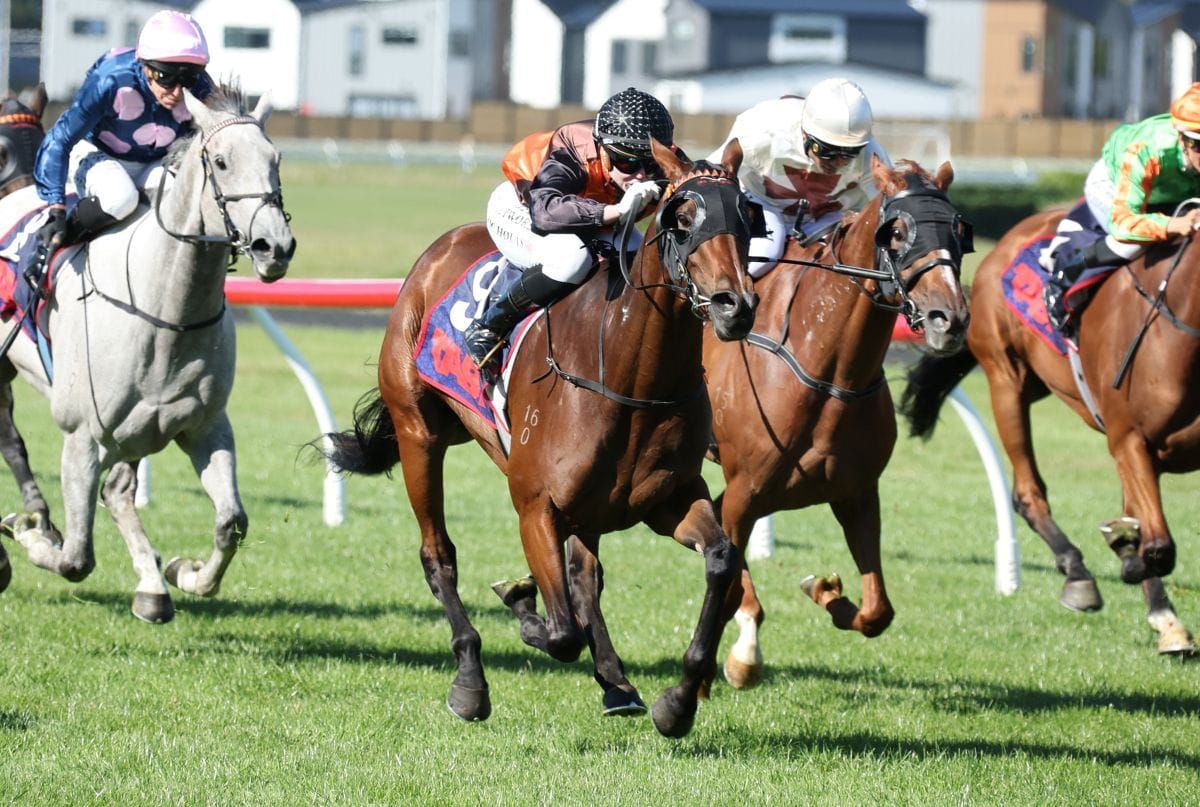 Latest Model struts her stuff in St Leger
